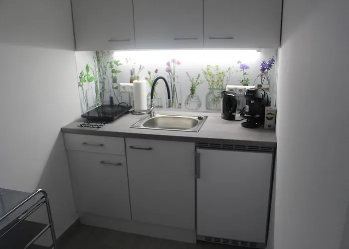 Fritze Buerger 公寓