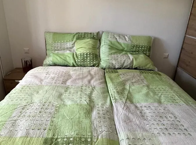 Fritze Buerger 施弗灵希